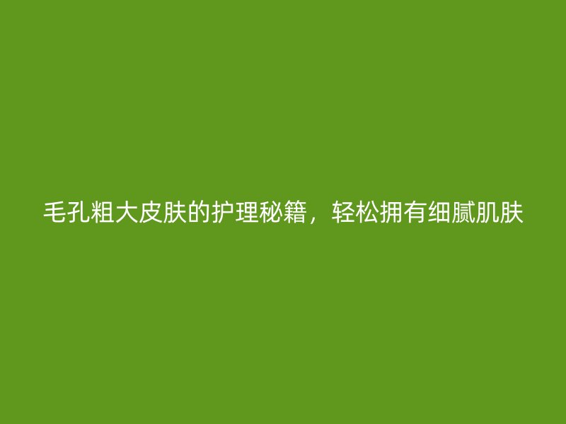 毛孔粗大皮肤的护理秘籍，轻松拥有细腻肌肤